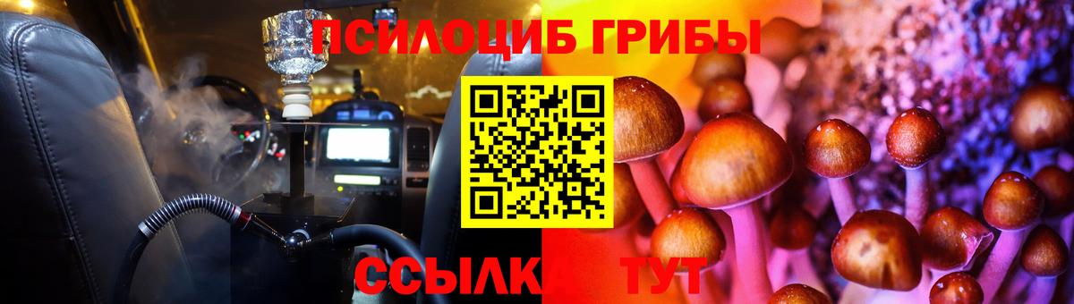Волоколамск  где купить наркоту  Вход с VPN  Псилоцибиновые грибы Magic Shrooms 
